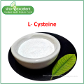 L-Cysteine Amino Acid fine powder